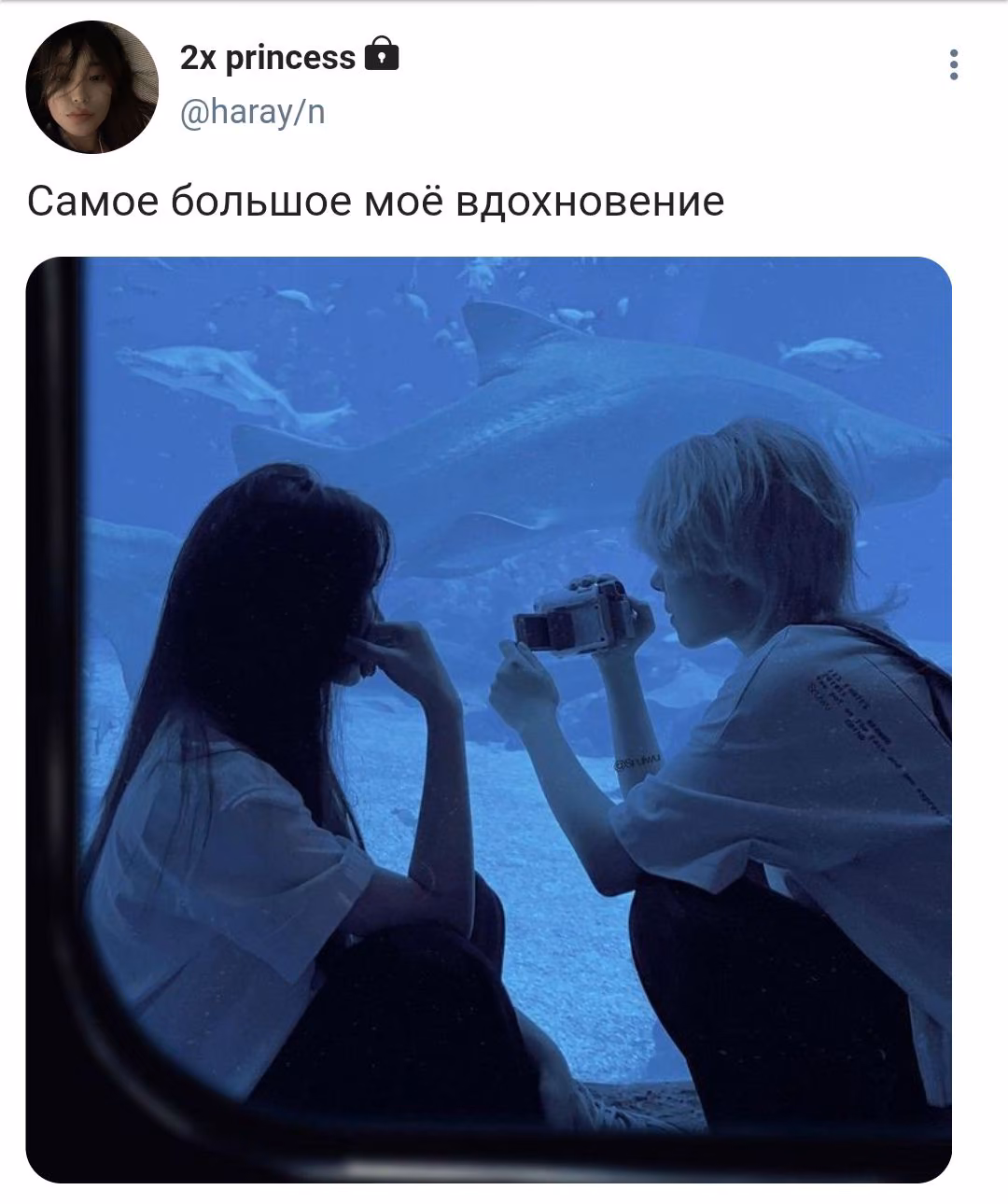 5f62843bf040fc2fd394b578b0777646.avif