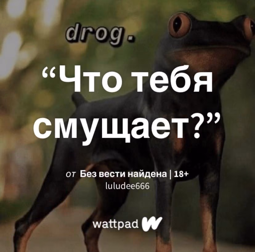 5f62ec3567417dcf57d1c06db933318a.avif