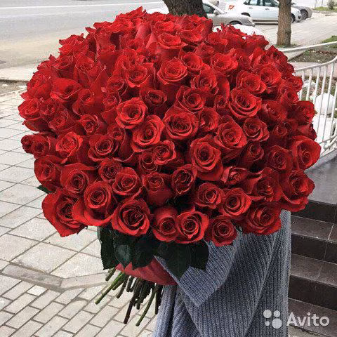 5f6a9ec38d43816dd38271db26a038fc.jpg