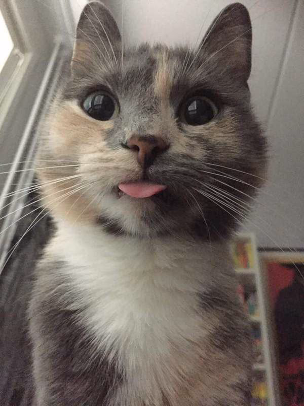 5f6b4f44b65f4fc36c926cf62cdece50.jpg