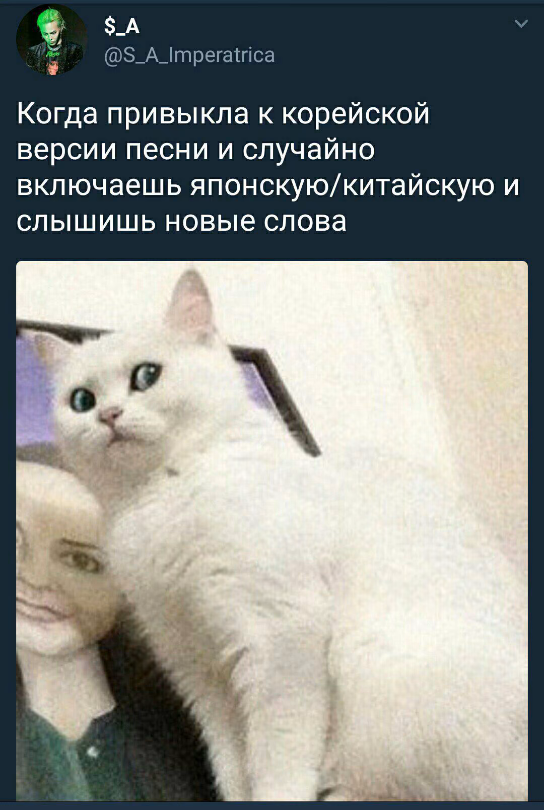 5f85dfdf7288b2d561dc90389abefa84.jpg