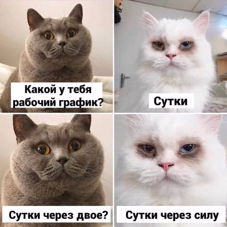 5f9f5ba168b8785fdd02dd2f8c07410d.avif