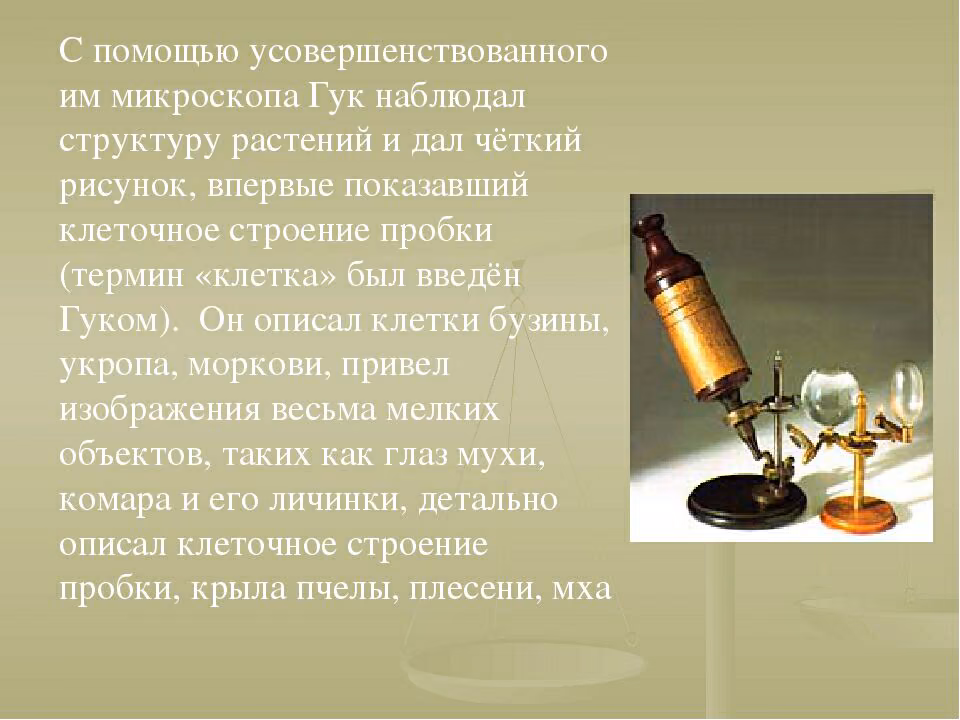 5fa5e6932a77eaa994d9eaba587433c3.avif