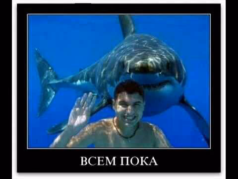 5fac00c59f8ea5d1c95e9b33f1459a5d.avif