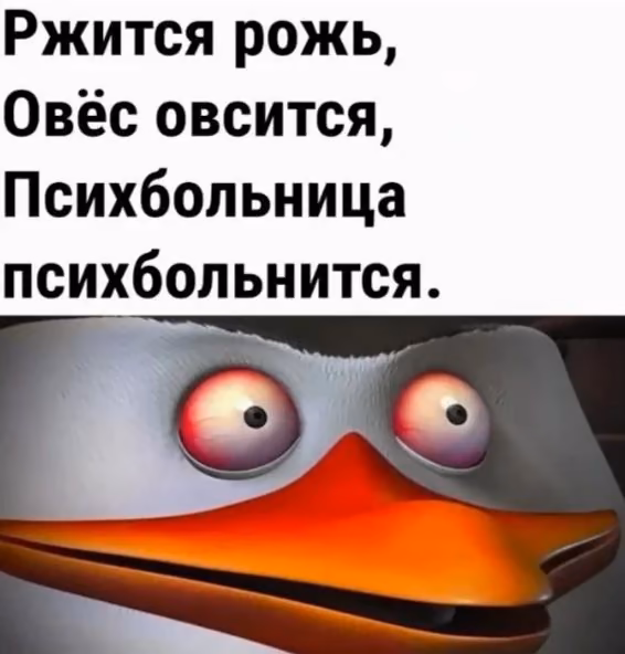 5fac3188410c6b54c87664bbade287b6.avif