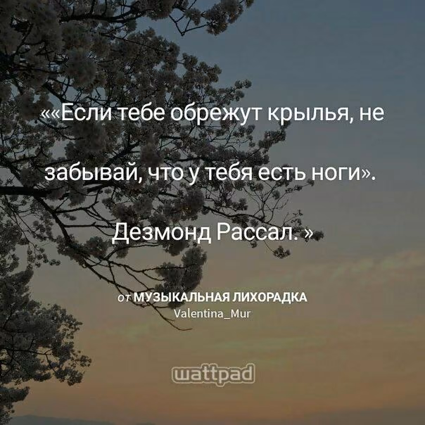 5fd2114fe2935e55dcefb3cfe3930b6e.avif