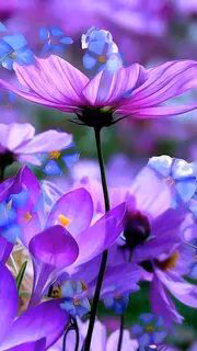 5fdf6671dd071fc75c2fdae04295d0be.avif