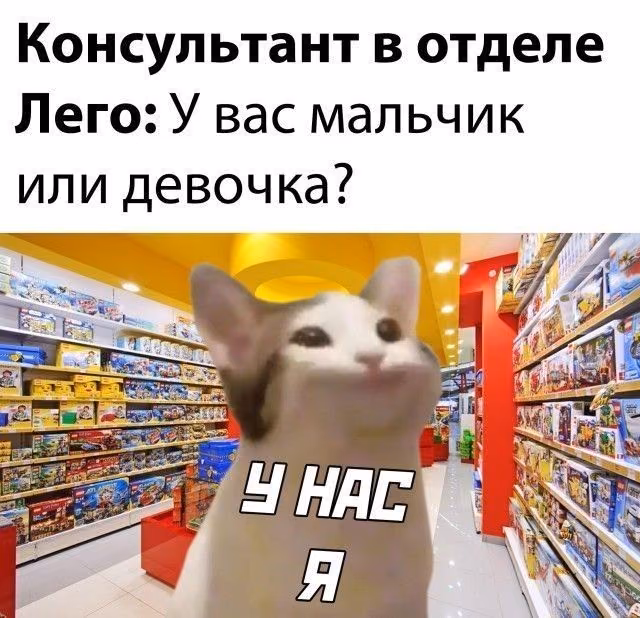 5fee0f7289468e094994cb8094e136fb.avif