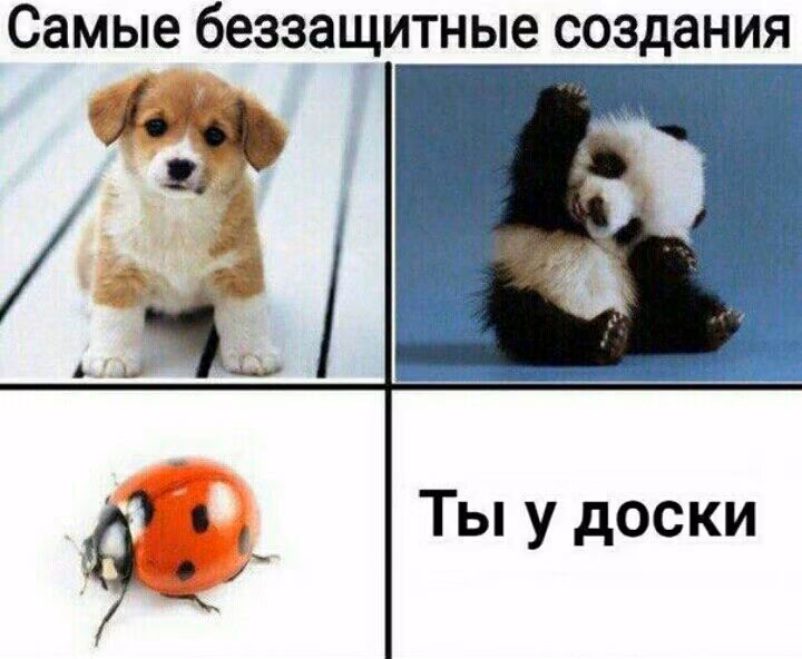 5ffa7cdff5aed4dfa90680d1ee1cae6b.jpg