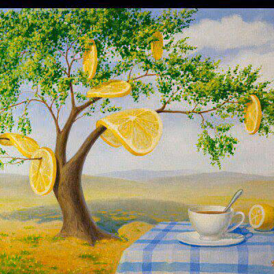 6003d044f653e56c9973e795e9834e9f.avif