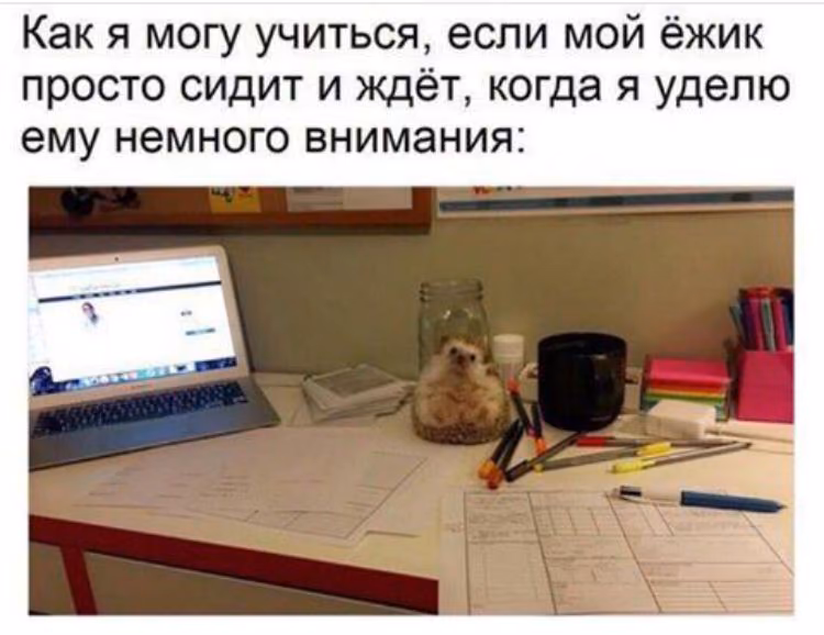 600ed5c81743aae1d2ee61169a013744.jpg