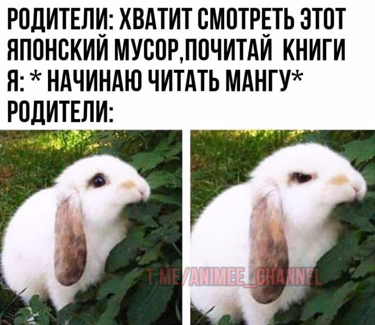 601711d457b8d8dff76bc5f70c25a5f1.avif