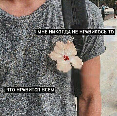 601c84e26ebb4a29659c1d5a2d76ea21.jpg