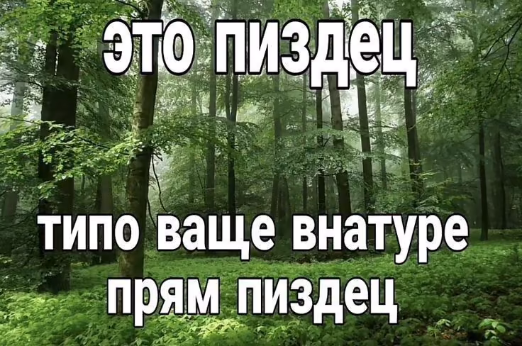 602eddac8bbf966d5b2fac9d4e7b80a5.avif
