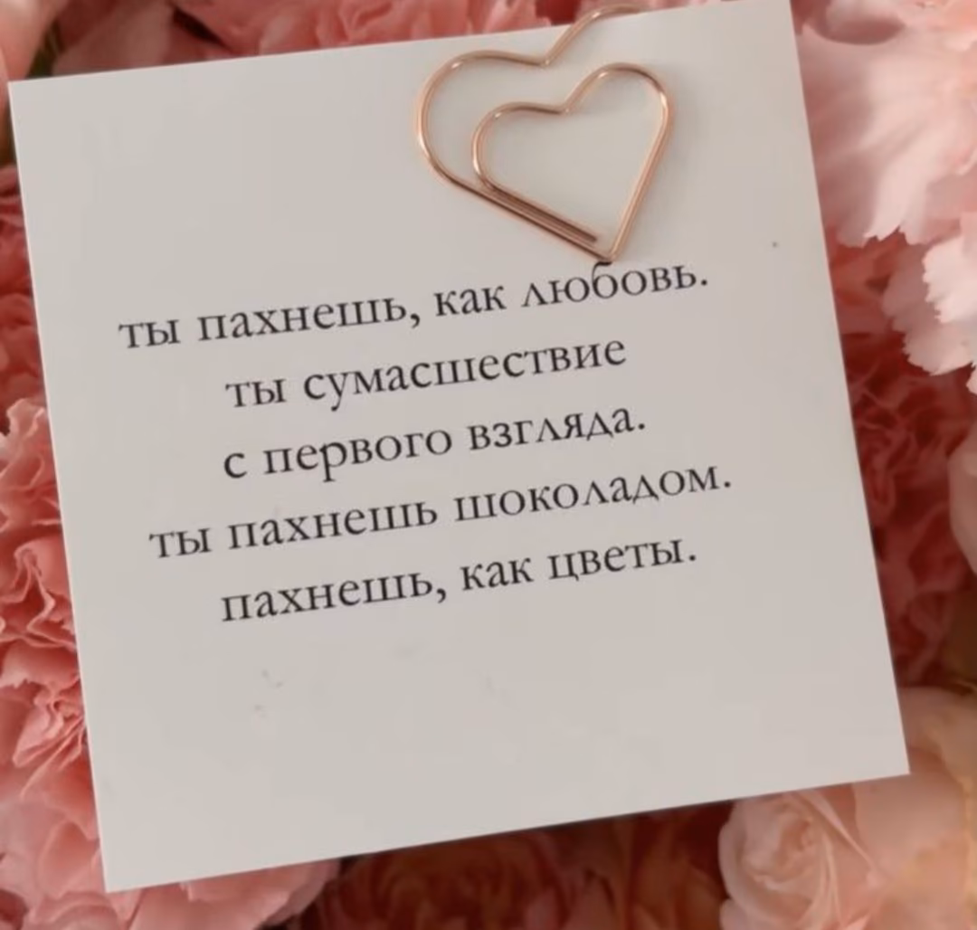 6030e16c7a06654cf56c2c2404e95669.avif