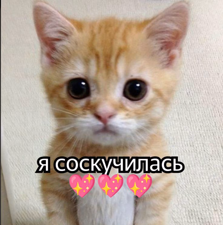 6032e569643cd7beba5b38f17d2c6258.avif