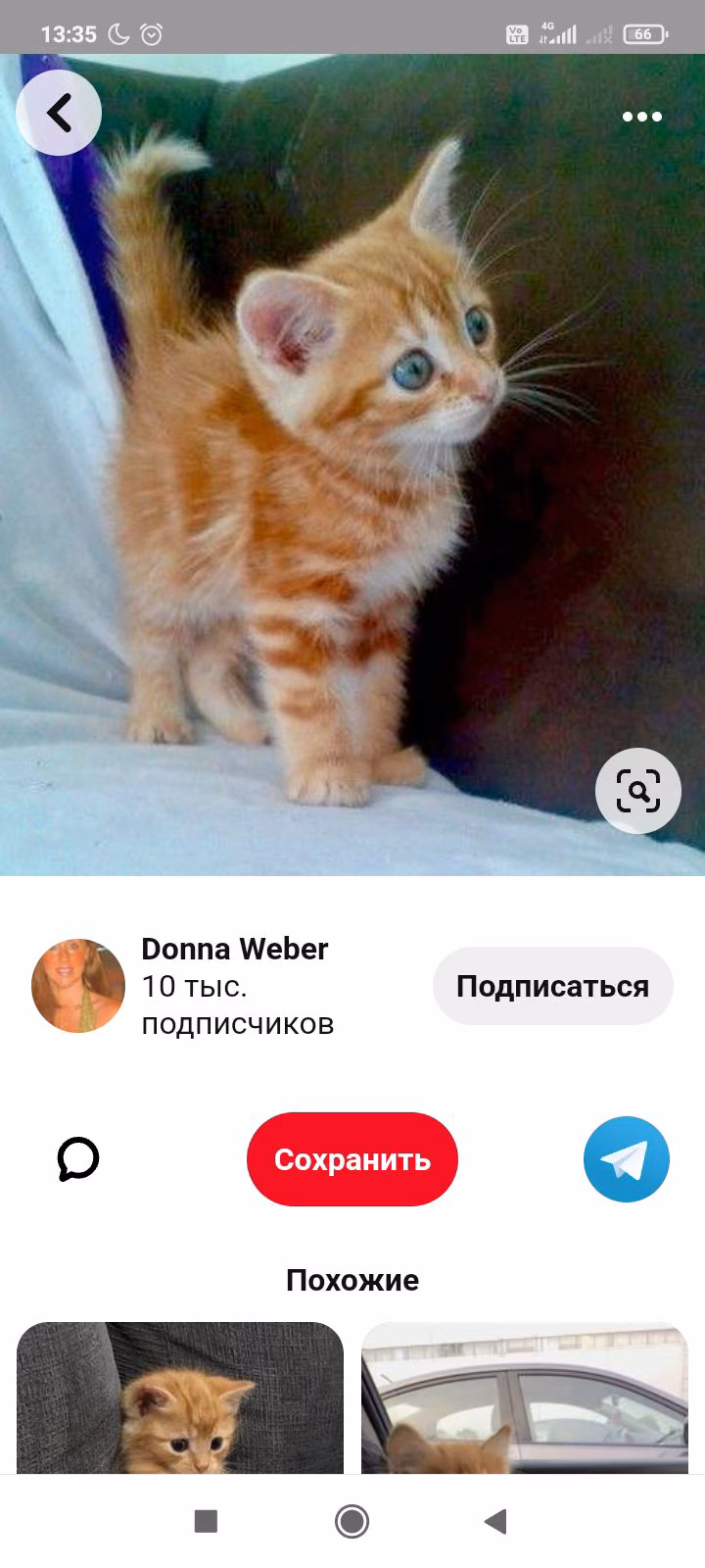 604fcd776c9a65bb0265b54cff97e1e3.avif