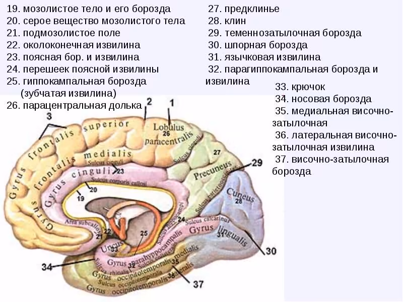 6052e7f653f6a886e31b24c6931c9c09.jpg