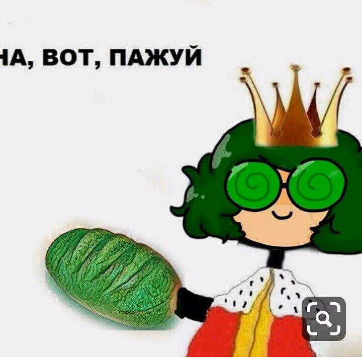 6054e4f98c594c641e9ed1db49dcd2e2.jpg