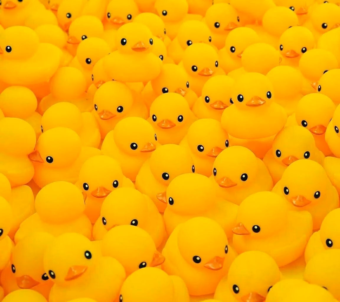6059cea1e2f19f9984f02c20f02c09a6.jpg