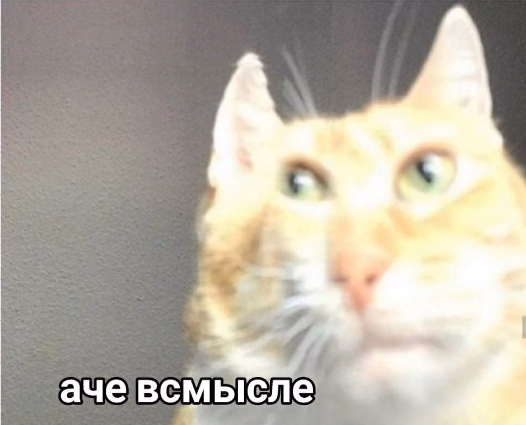 60653de63f296a03fee351a2e434644c.jpg