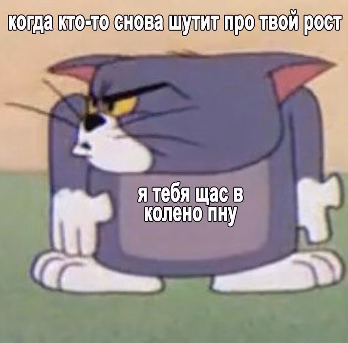 607e8647ed5f74129b181ae853d8afd9.avif