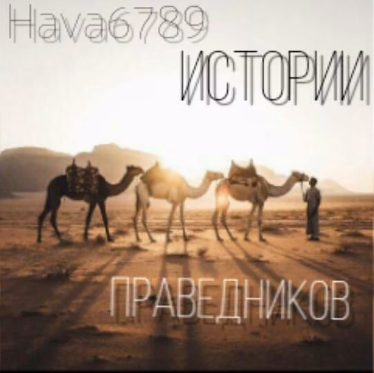 608bf207b21c7c8b75d7f9657af533a8.jpg