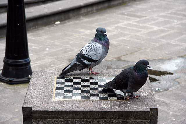 608f09a89d452200a36c548e2a8c9b30.avif