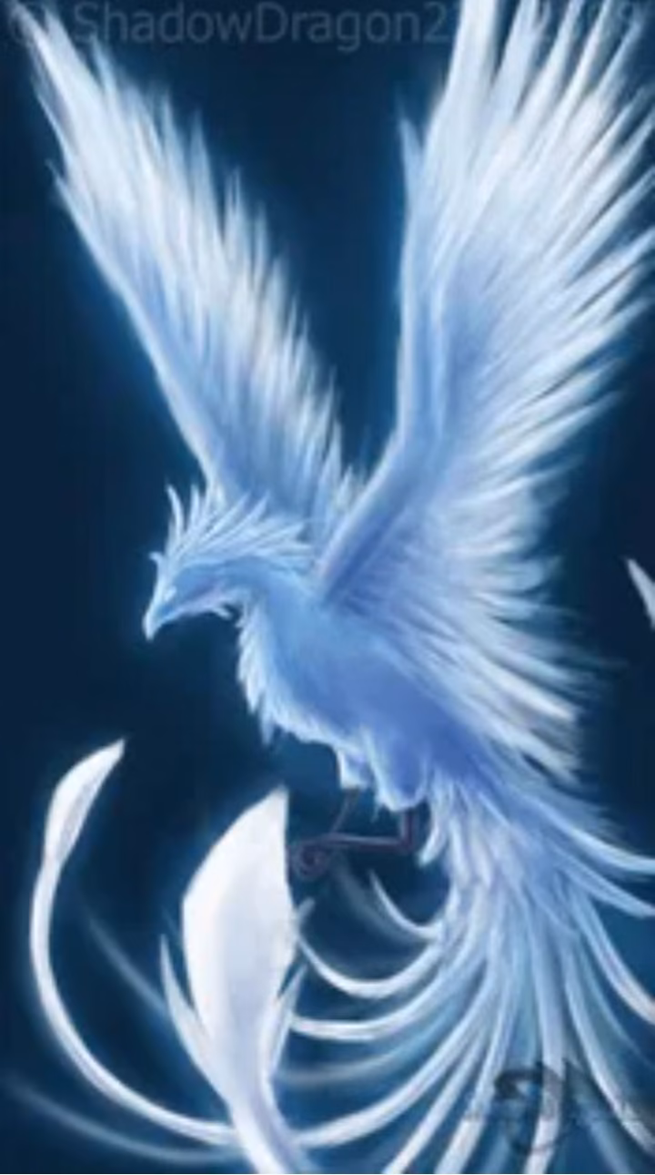 60946399791d382181e544a4ae4c5128.avif