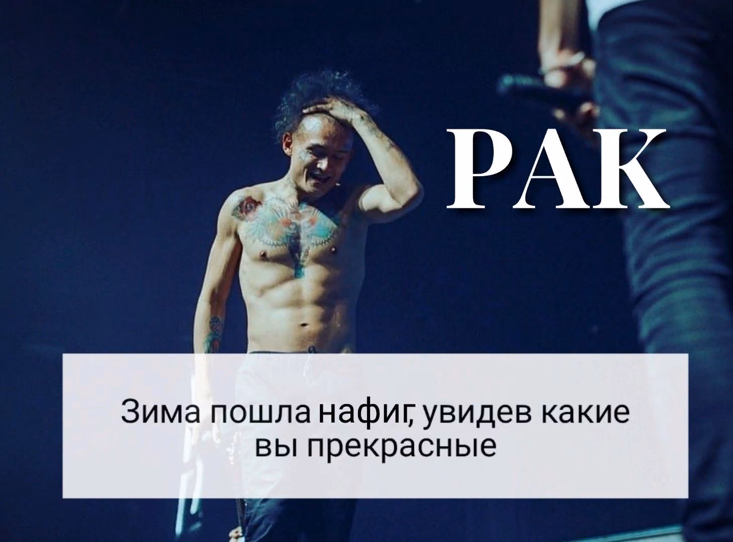 60957d4f56b05ee950a6dd0584981225.avif