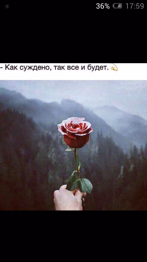 60b0943ed9d82ae5024556c39108bc63.jpg