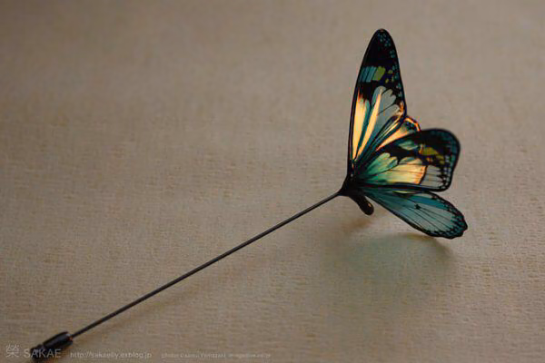 60b14170241bd50a0f7c05a675fa86ea.avif