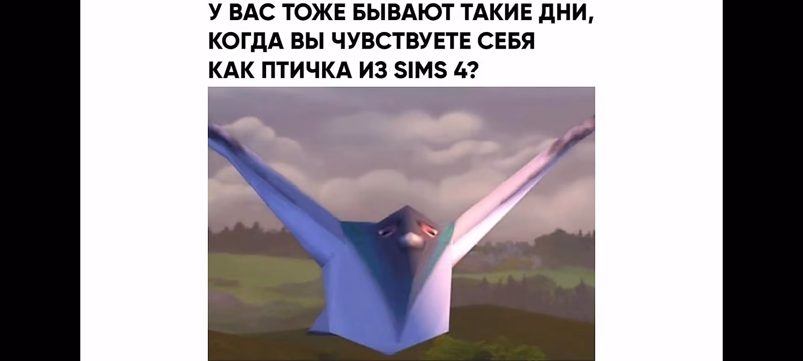 60c2de6ef518fd26b8c14bf432c2b814.jpg