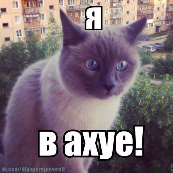 60db6d043795eaefb51014ecf77ecc7d.avif
