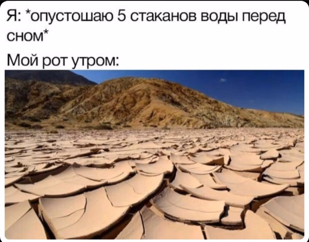 60dbb3458b6b89b68562329f082f486c.jpg