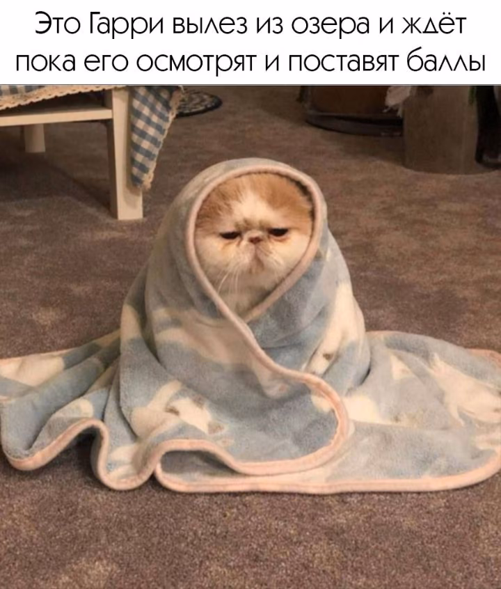 60deab7600d5453098c0e36b7367e5af.avif