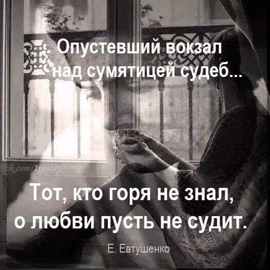 60f2d579dc00b8f841e3b8d7731ce6db.jpg