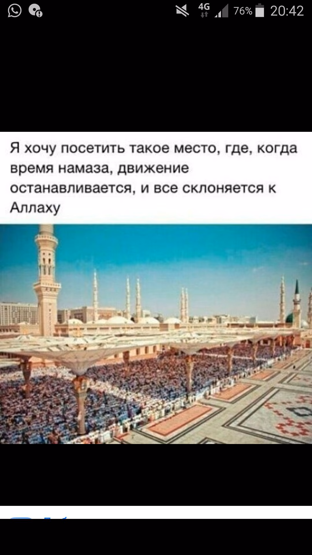60f31deddfa88162b3a981b27d1cd45e.jpg