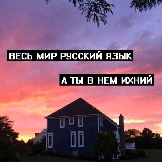 60f61891e1dbab523df85fdc72159d2b.jpg
