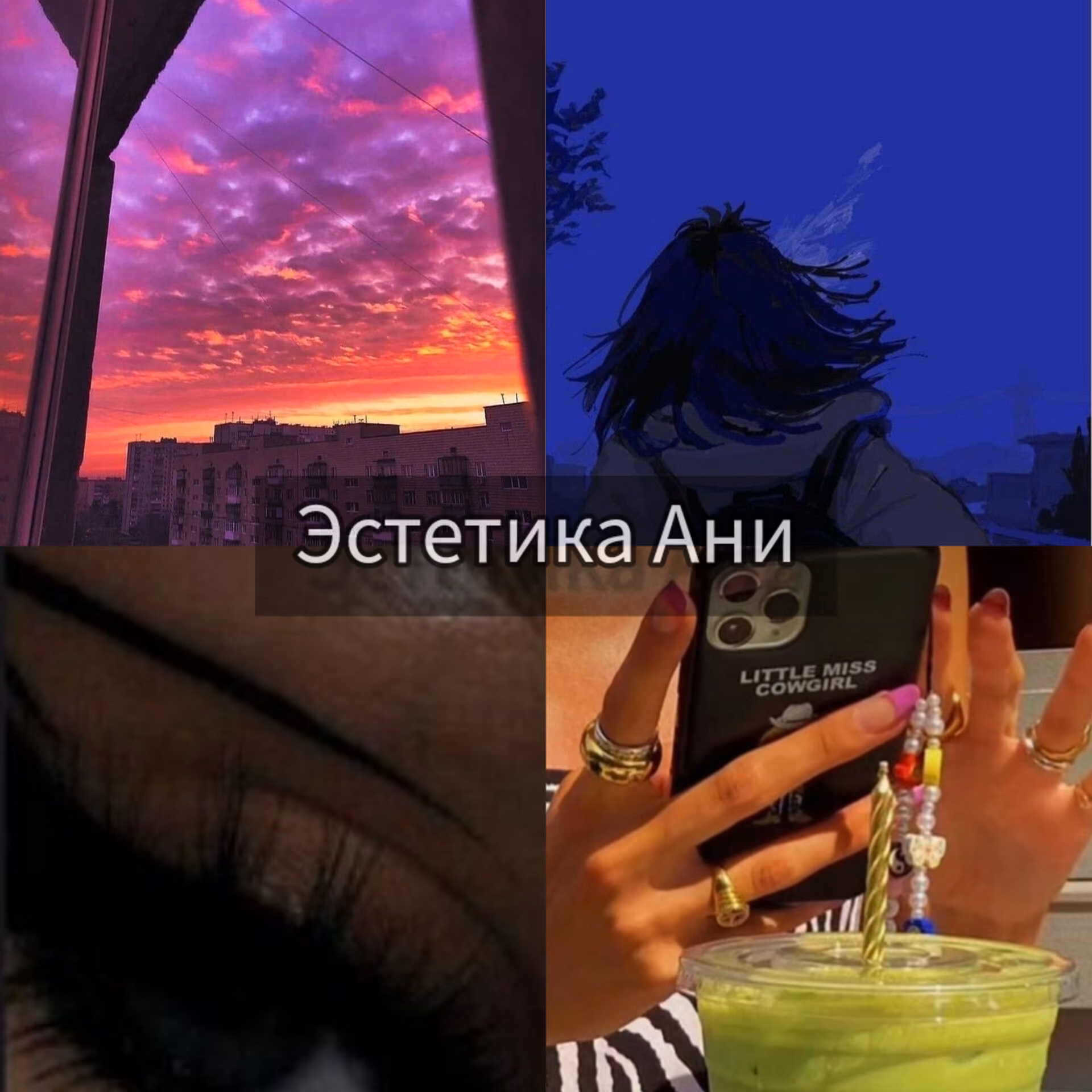 610839127cecf2658276887e27d10a38.avif
