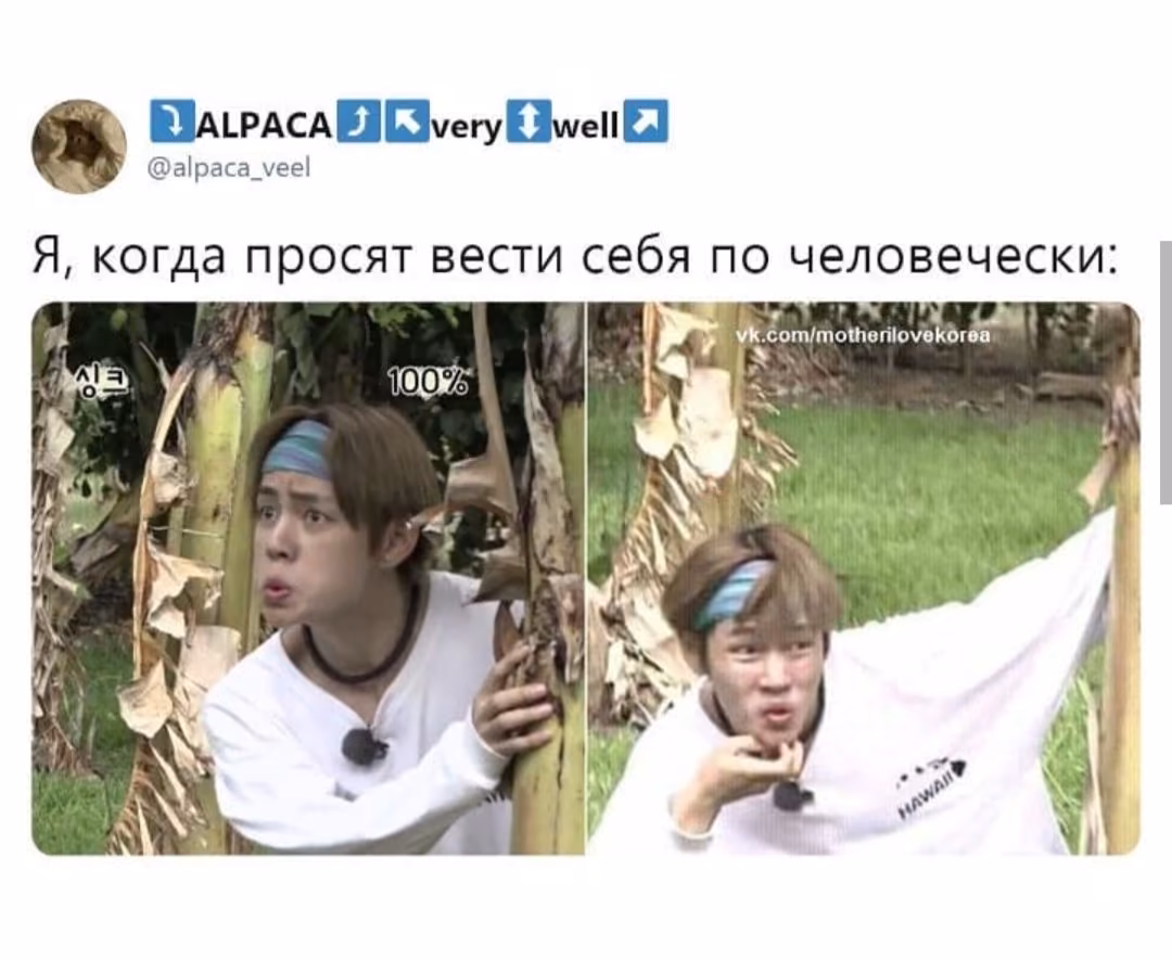 612c79f218048975c452e5f720060f9b.avif