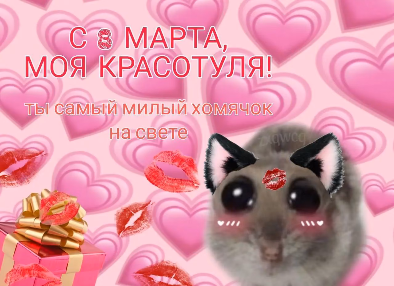 613679ce10f6e3da8404f1ee59272853.avif