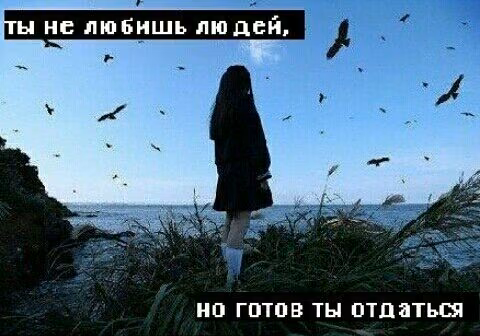 6136c2c90c8fdd98e9274fcae6492201.jpg