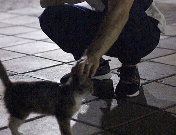 61378487956f31ffa899b9d50dee4582.jpg