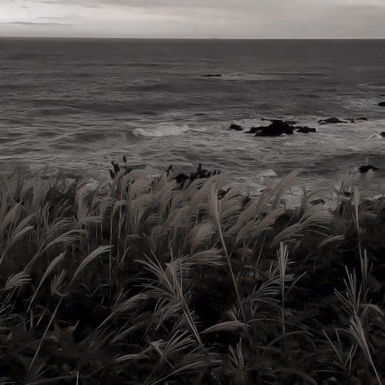 613a6483d0ed4a2bf07df70c833452bf.avif