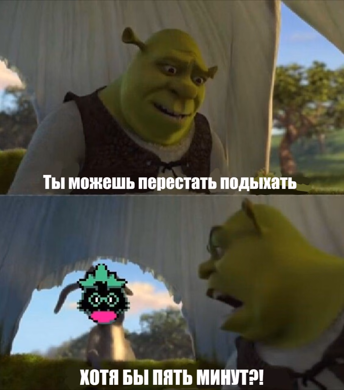 613b98bc0e91d7effc92782fcbe264e6.jpg