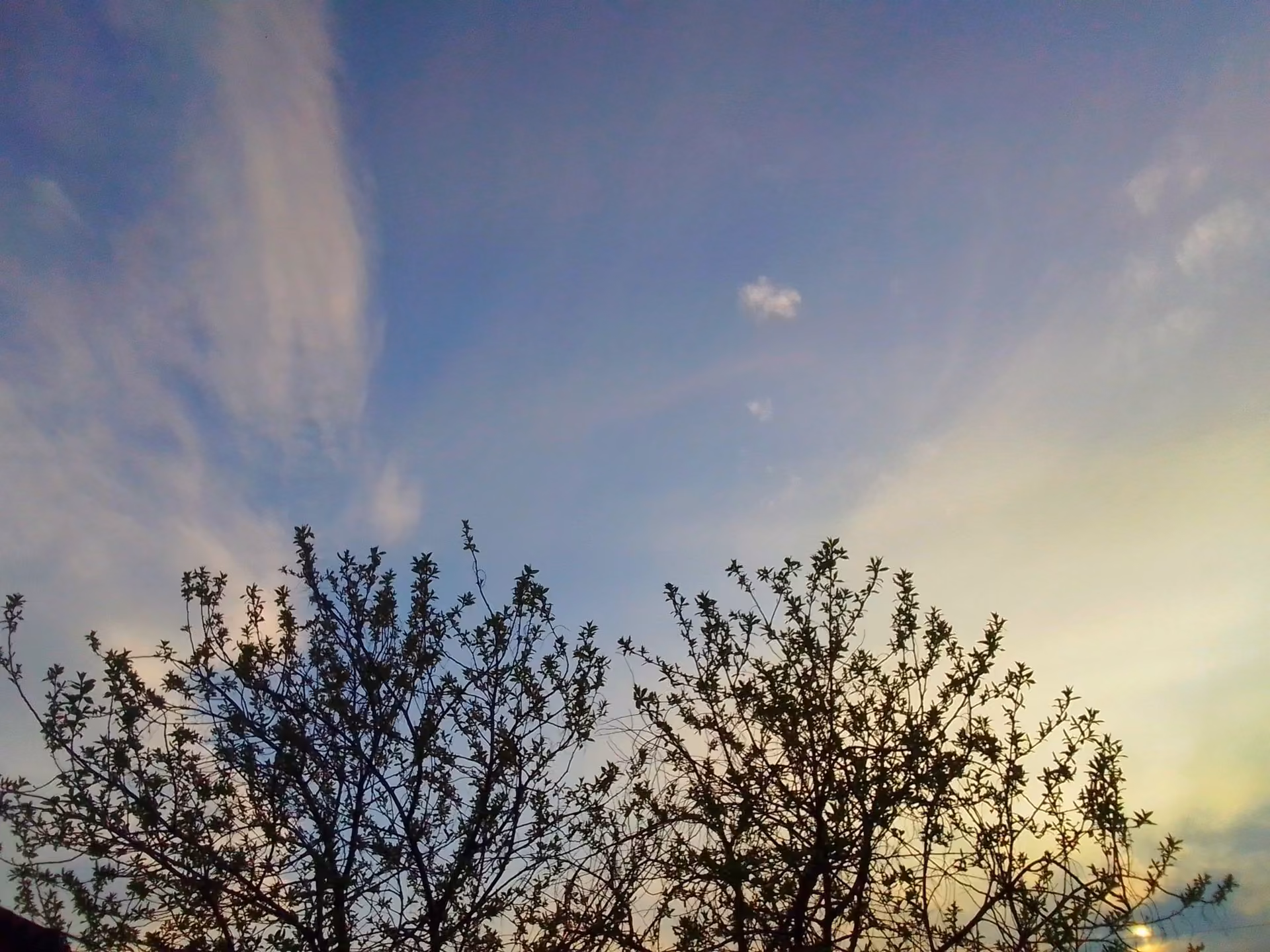 6143e418e62d5f08471e4bf1f0796d1c.avif