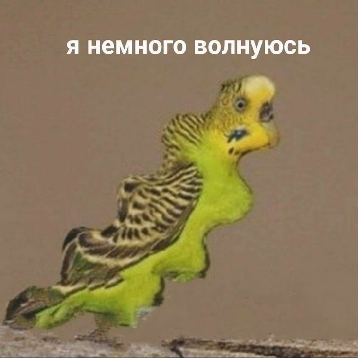 614825495bddb4d8989d93a4fb384fb1.jpg
