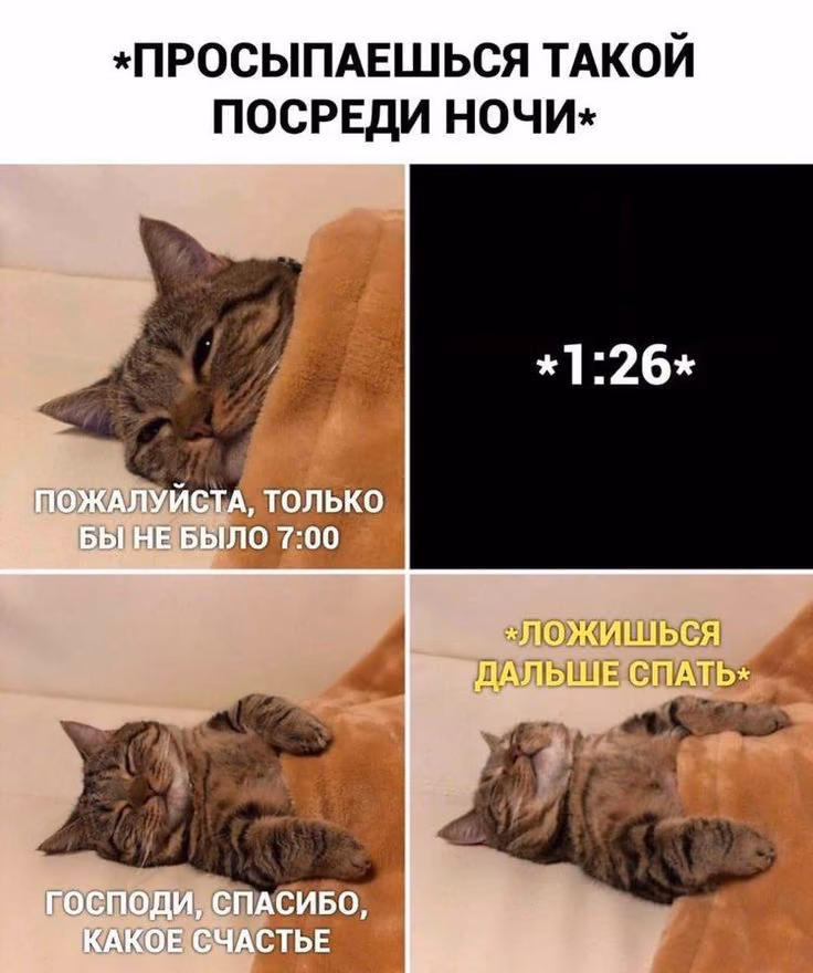 6153ee3f2bf8e5a5f3814aa85870a2e9.avif