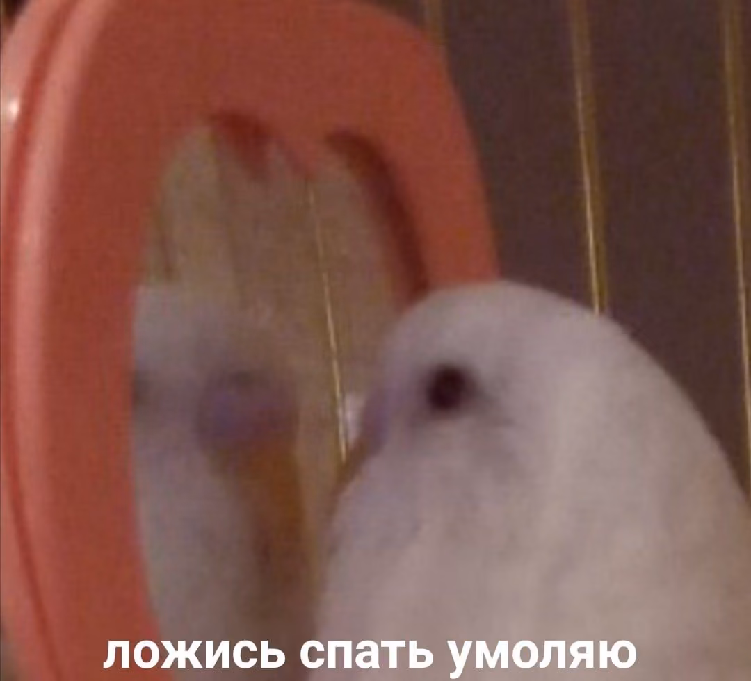 616ae282611e9e6de05e28c7b3008643.avif